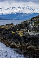 View over the Beagle Channel
