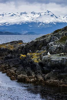 Uitzicht over het Beaglekanaal
