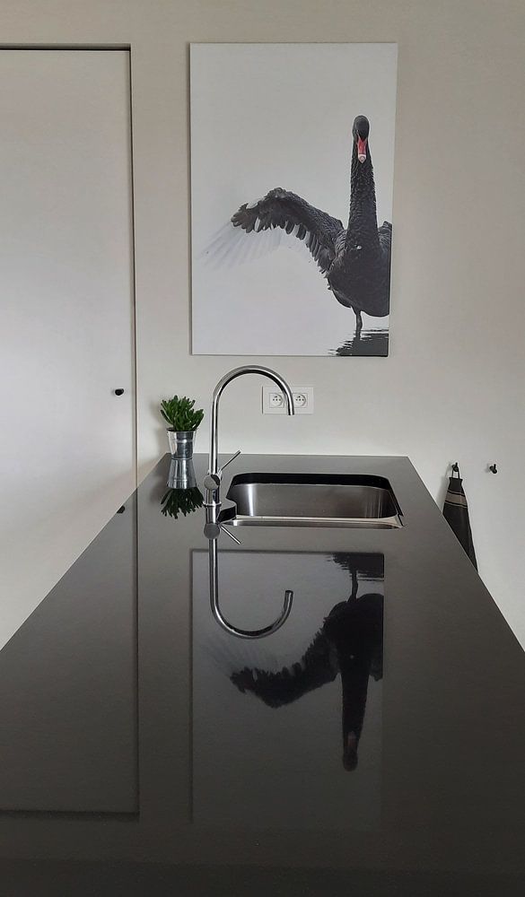 Zwarte Zwaan  van Sander Meertins 