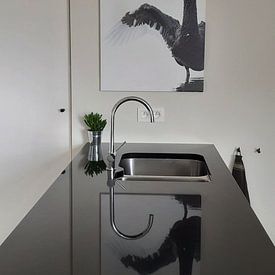 Customer photo: Black Swan by Sander Meertins, on canvas