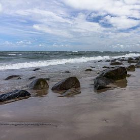 Paysage marin sur la plage de HirtshalsDanemark . sur martin von rotz