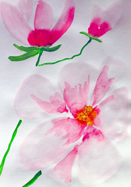 apple blossom by M.A. Ziehr