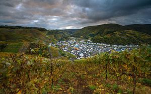 Herbst an der Ahr, Rheinland-Pfalz, Deutschland