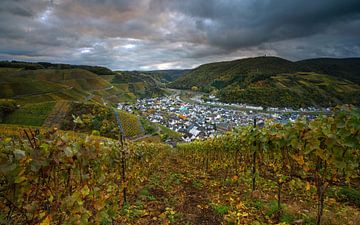 Herbst an der Ahr, Rheinland-Pfalz, Deutschland