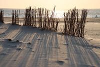 Sonnenlicht am Strand