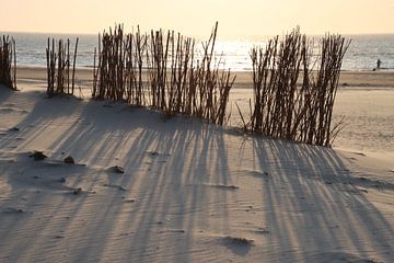 Sunlight on the beach by Eibert van de Glind
