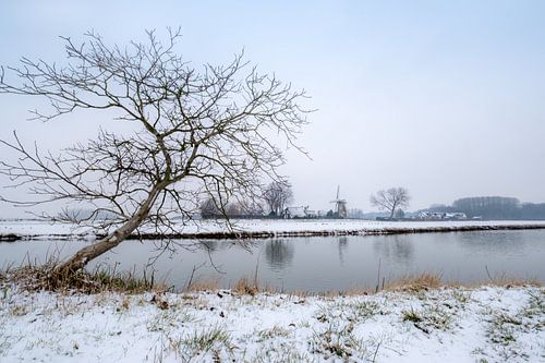 Molen De Korenbloem