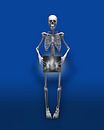 Bijna naakt Skelet van Peter Hermus thumbnail