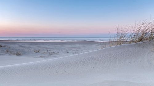 Pink Dunes 3