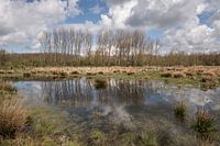 Reflection in Broekpolder