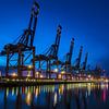 Container port Hamburg by Alexander Schulz