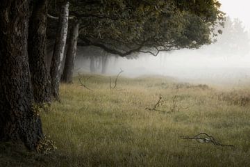 mystische Landschaft