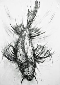 Chasse au poisson