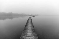 Pad in the fog