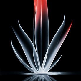 Morningstar by Hilde Remerie Photography and digital art