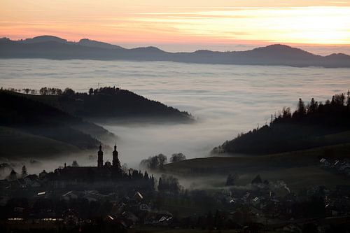 Peter in het Zwarte Woud
