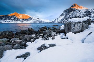 Winterlandschap in Senja / Lofoten, Noorwegen van Martijn Smeets