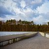 Cycling through the water by Johan Mooibroek