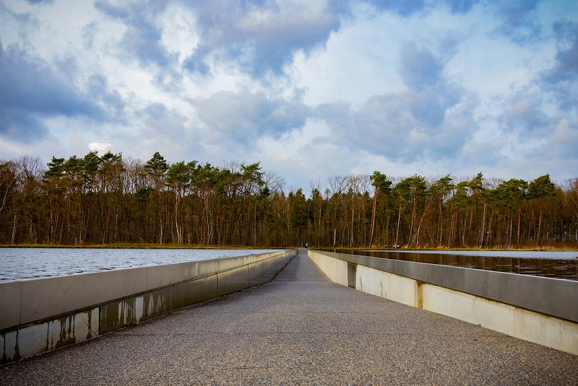 Radfahren durch das Wasser von Johan Mooibroek