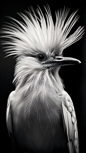 Vogel Portrait in Schwarz-Weiß minimalistische Wildlife Art