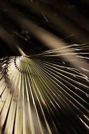 Feuille tropicale abstraite sur Bas Verburg