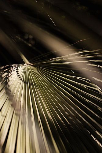 Abstraktes tropisches Blatt