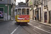 Die Tram 28 im goldenen Gegenlicht - Straßenszene aus Lissabon