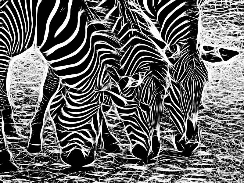 Zebra van Karl-Heinz Lüpke