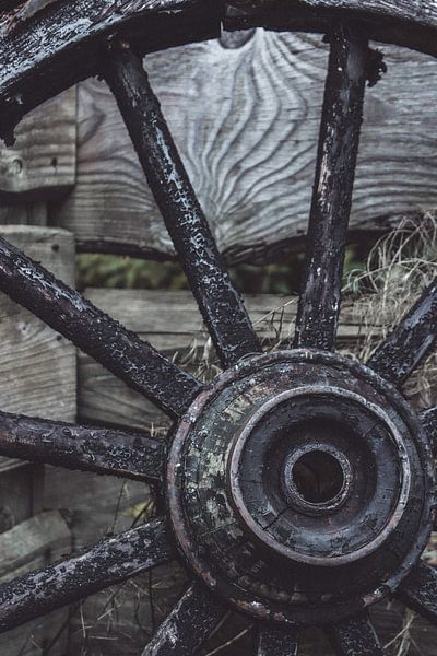 Old wooden cartwheel by Sabrina Mols