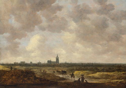 Gezicht op Den Haag vanuit het noordwesten, Jan van Goyen