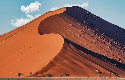 Majestic dunes_H