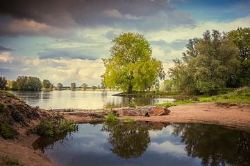 Fluss Maas von Marcel Bakker