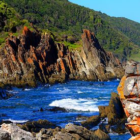 Wunderschöne Küste im Tsitsikamma Nationalpark von Südafrika von Thomas Zacharias