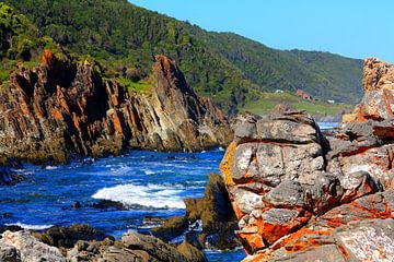 Prachtige kustlijn in het Tsitsikamma National Park in Zuid-Afrika van Thomas Zacharias