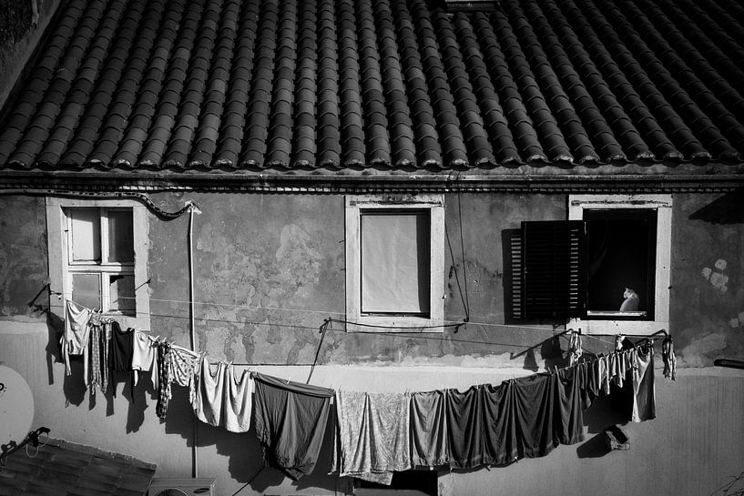 Laundry and a cat van Jeroen Bussers