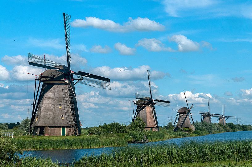 Kinderdijk van Maarten Verhees
