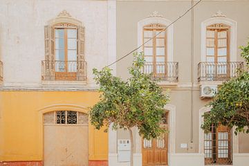 Spaans zomergevoel Almeria stad van sonja koning