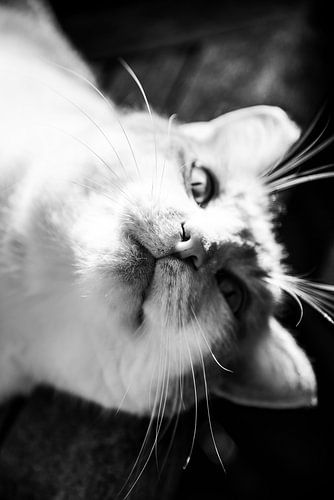 Étrangement familier 28