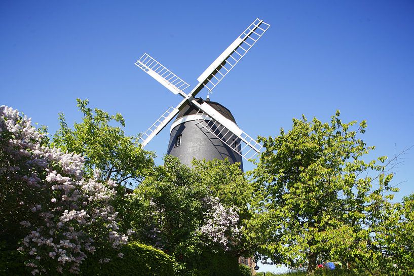 Windmill, Woldegk, Mecklenburg-Western Pomerania by Torsten Krüger
