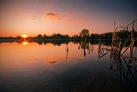 See im Sonnenuntergang