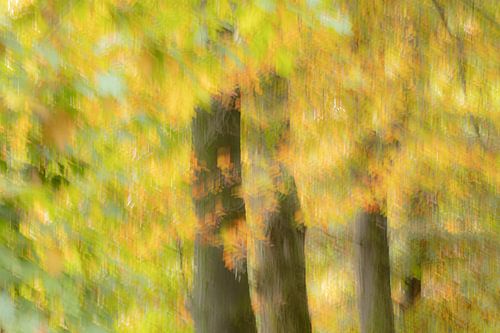 Herfstkleuren creatief