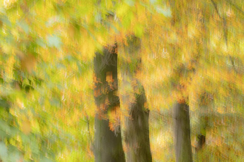 Autumn colours creative by Annet van Heijster