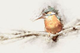 Kingfisher by Digital Art Studio