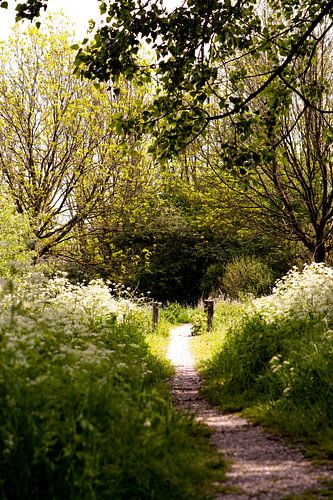 Der Weg zum Frieden...