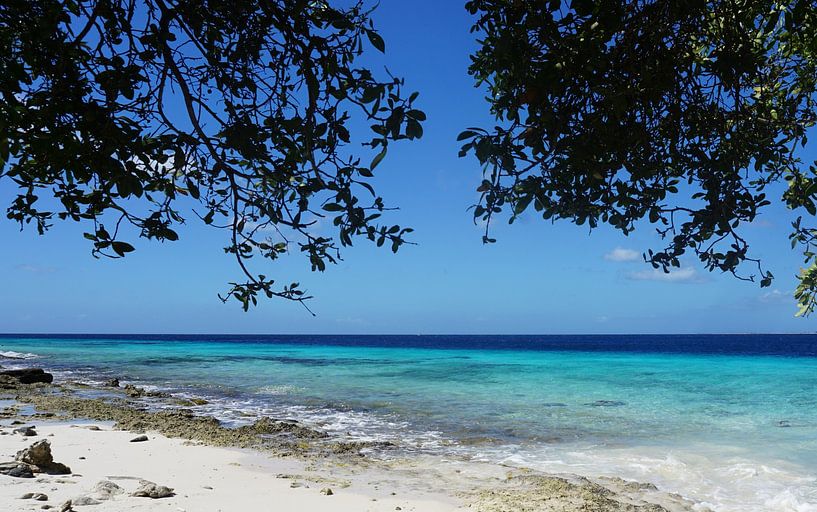 Bonaire, Donkey Beach par Angela Seubring