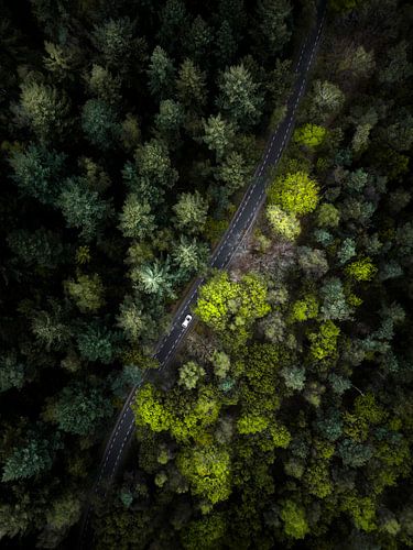 Op weg naar nieuwe Avonturen