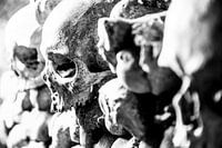 Doodshoofd Catacomben van Parijs