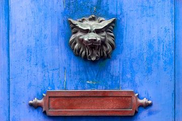 Lion head and letterbox on a door by Peter de Kievith Fotografie