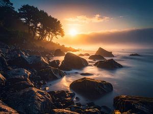 Stimmungsvoller Sonnenaufgang am Meer, Rügen -