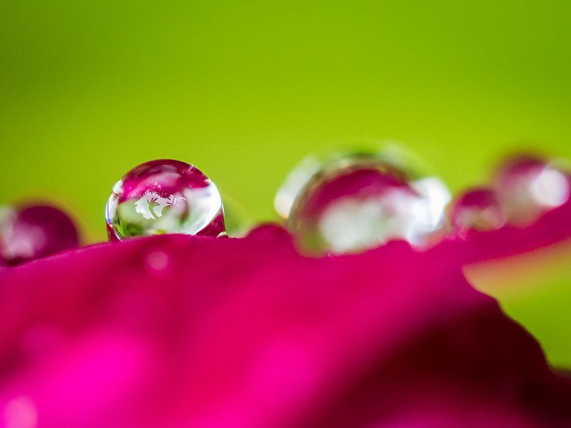 Reflectie in waterdruppel von kitty van gemert